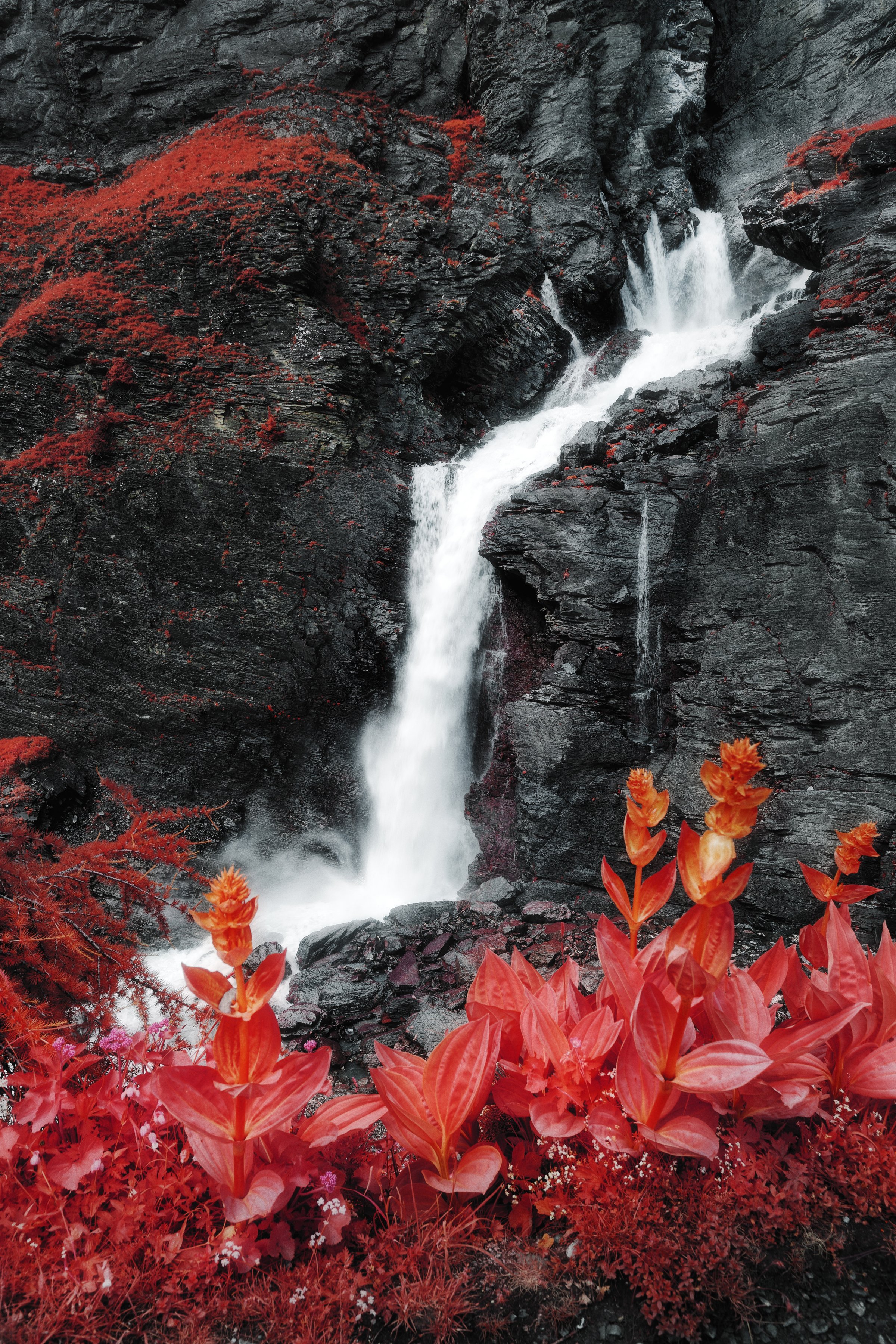 Cascade blanche tombant sur des rochers noirs avec un feuillage rouge intense au premier plan. Photographie infrarouge Lumina – Jonas Hangartner.