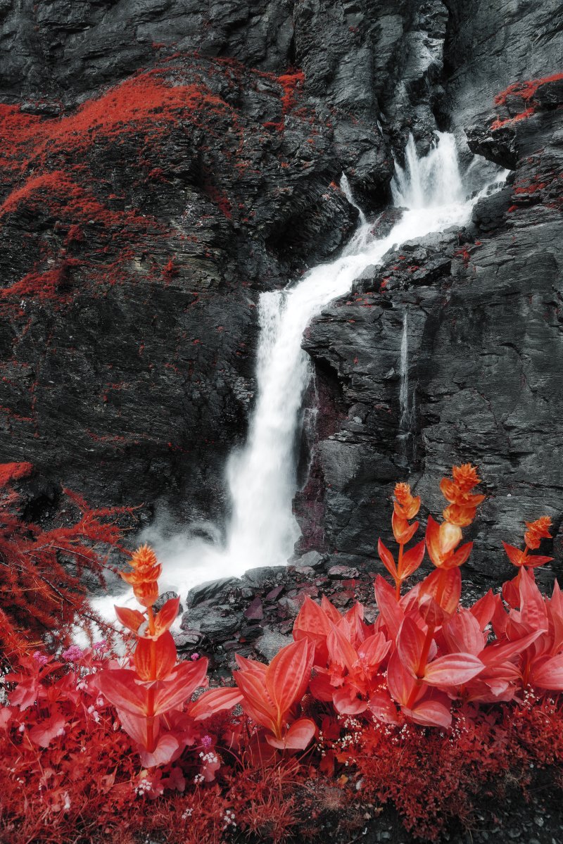 Cascade blanche tombant sur des rochers noirs avec un feuillage rouge intense au premier plan. Photographie infrarouge Lumina – Jonas Hangartner.