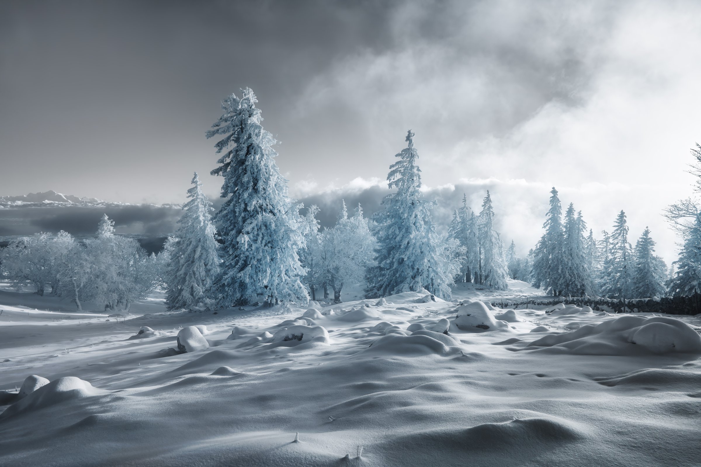 Paysage hivernal en infrarouge avec forêt enneigée et brume légère. Collection Lumina par Jonas Hangartner, Suisse romande.