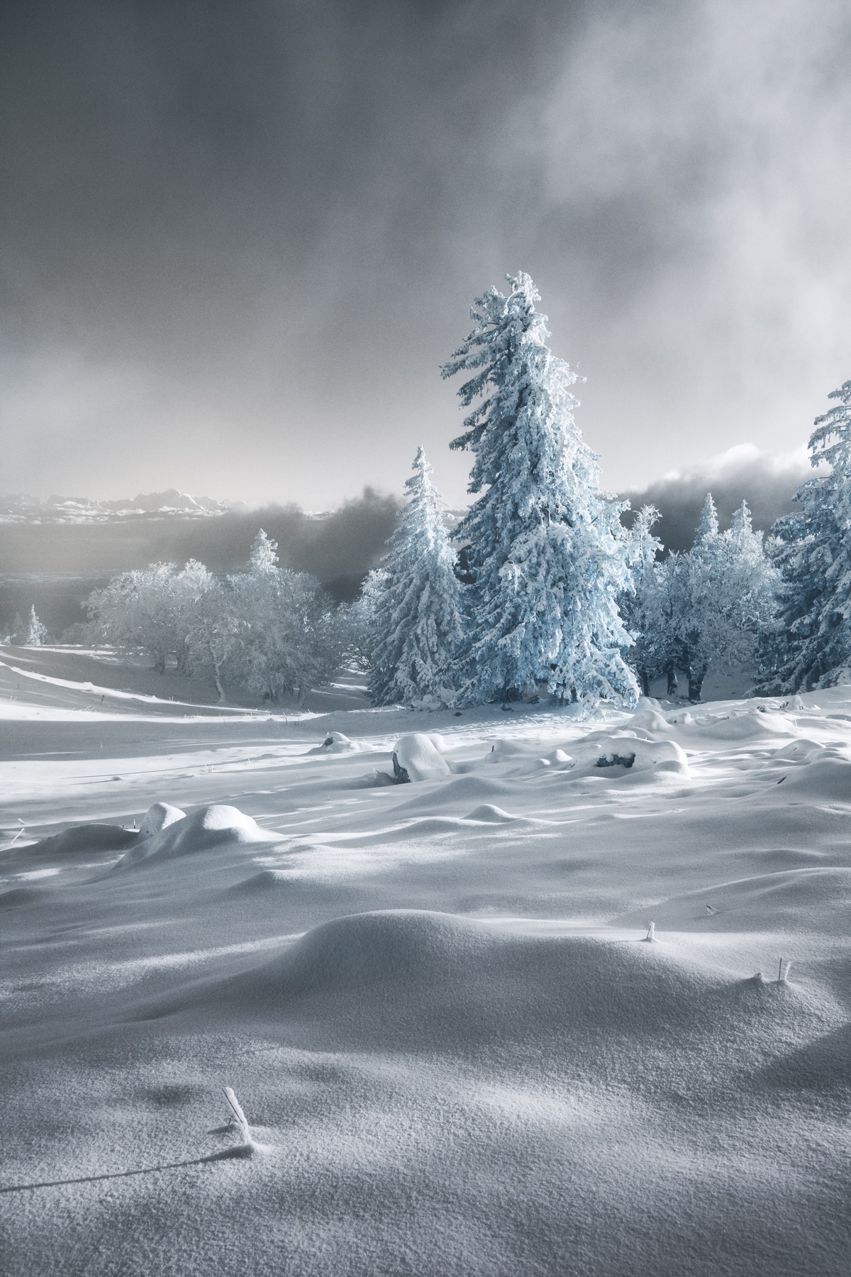 Paysage enneigé photographié en lumière infrarouge