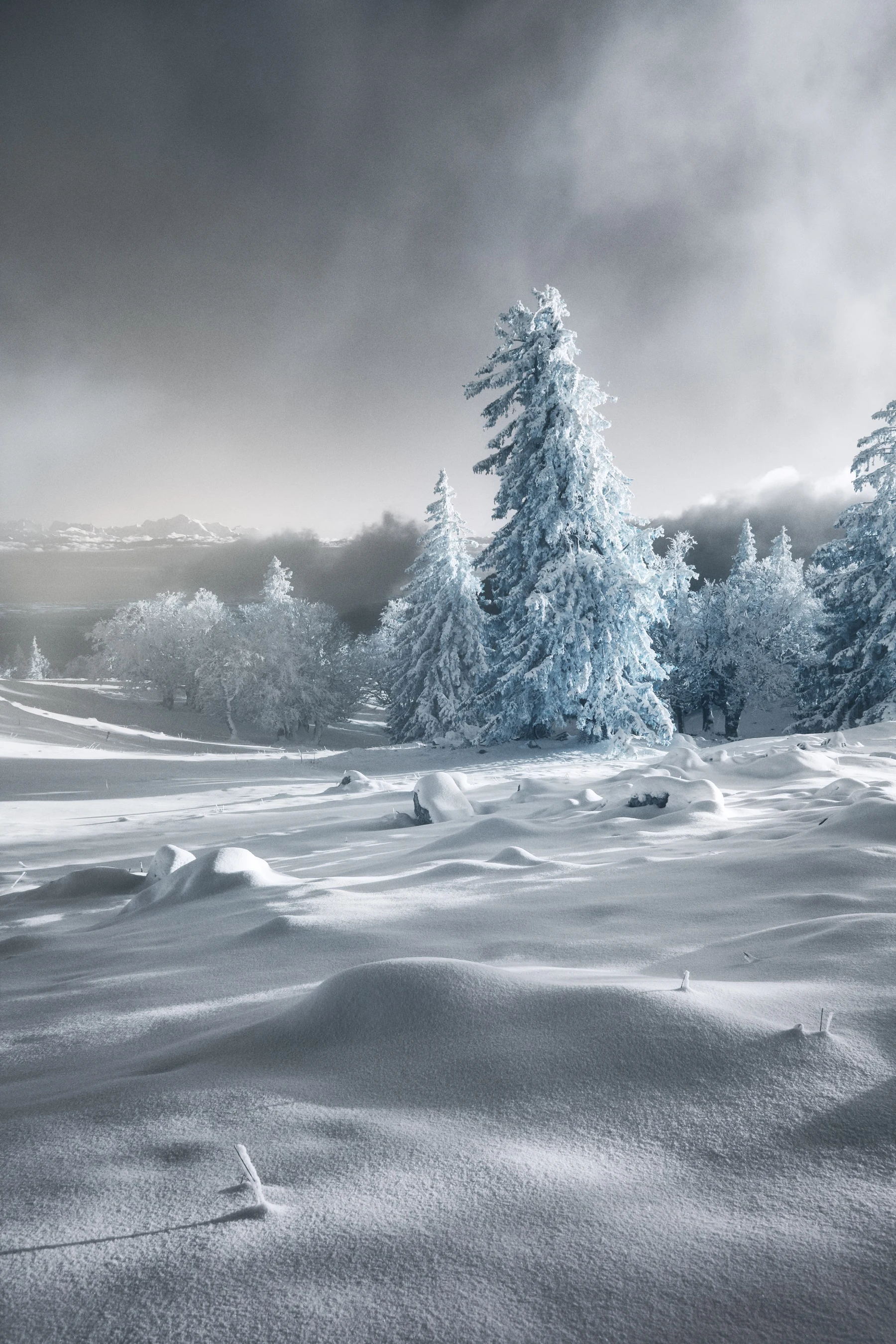 Paysage enneigé photographié en lumière infrarouge