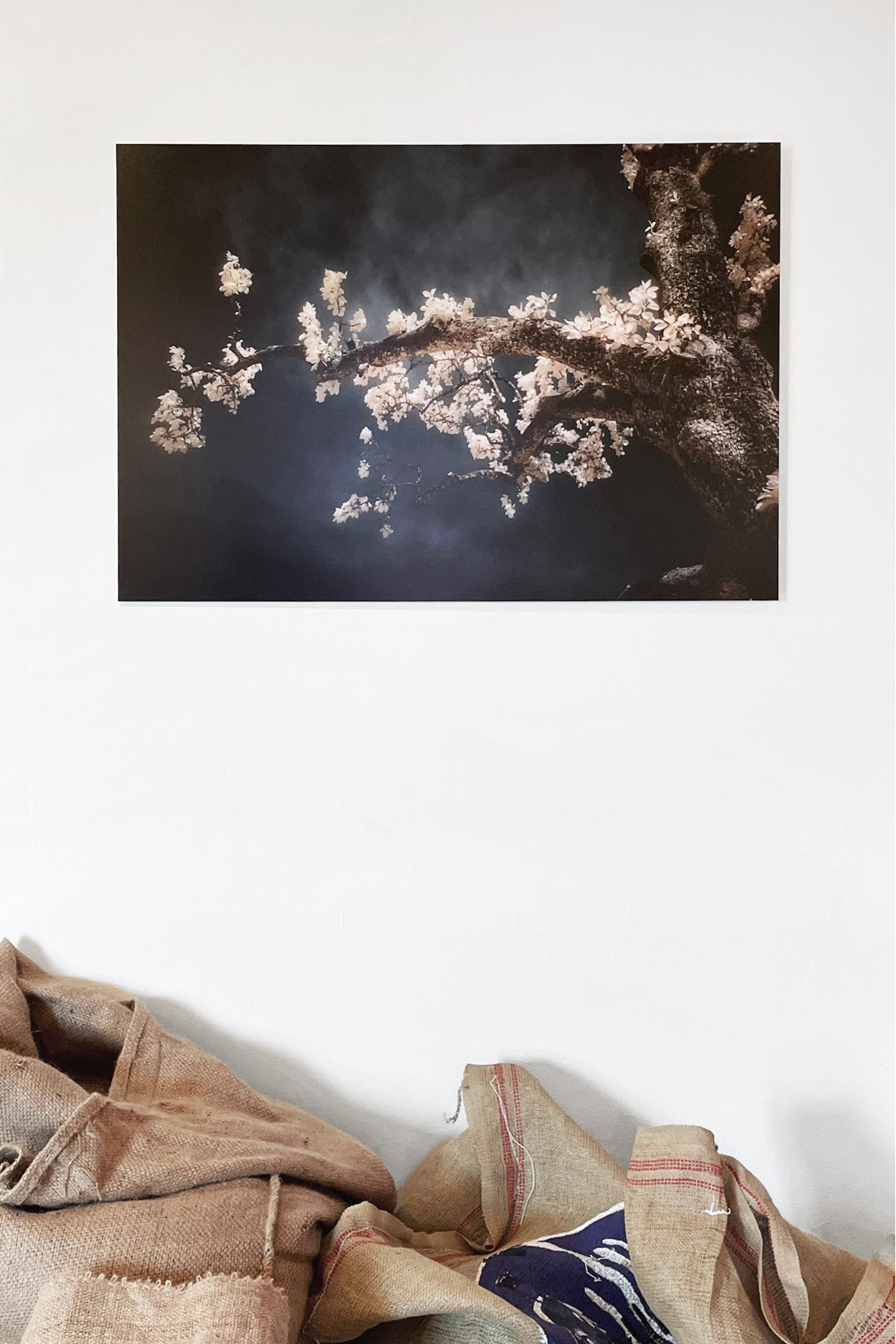 An infrared photographic print displayed in an interior in Lavigny