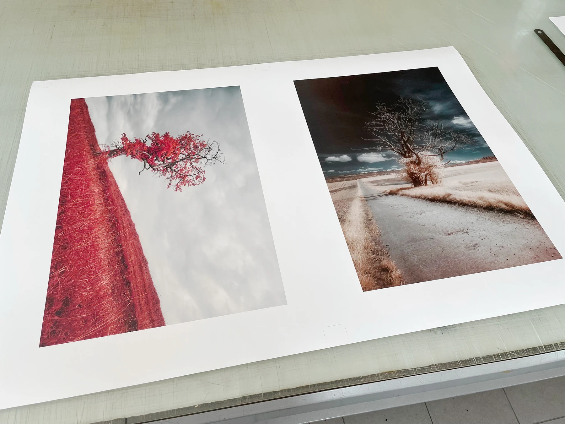 Two photographic prints on a checking table in Lavigny