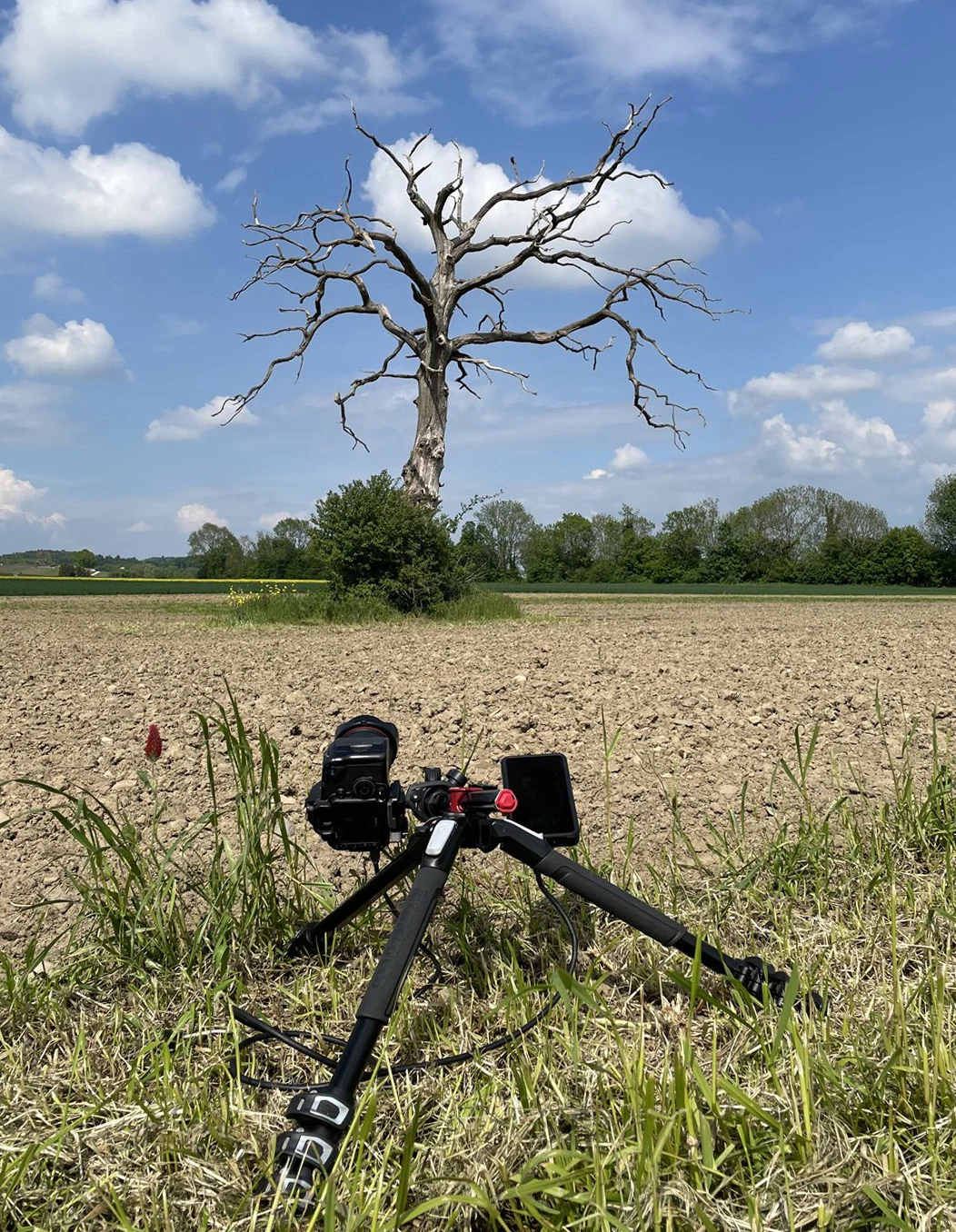 Appareil photo sur trépied dans un champ à Vullierens, devant l'arbre photographié pour The Otherworld