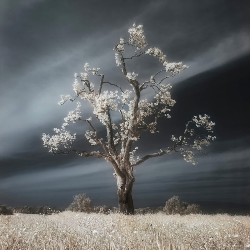7H3 B3G1NN1NG - Jonas Hangartner Swiss Photographer