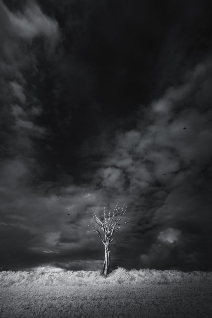 Hollow — Tirage infrarouge fine art 850nm, édition limitée 10 ex., Jonas Hangartner