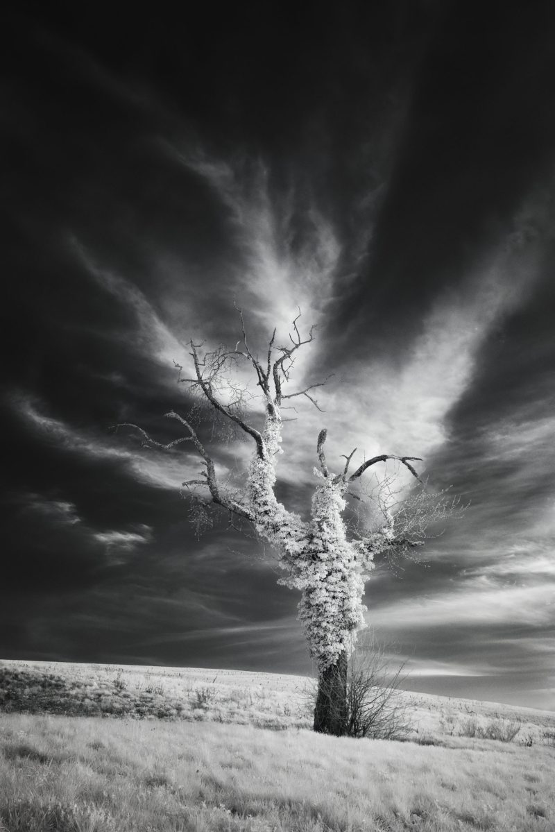 Extension - Jonas Hangartner  - Infrared photography