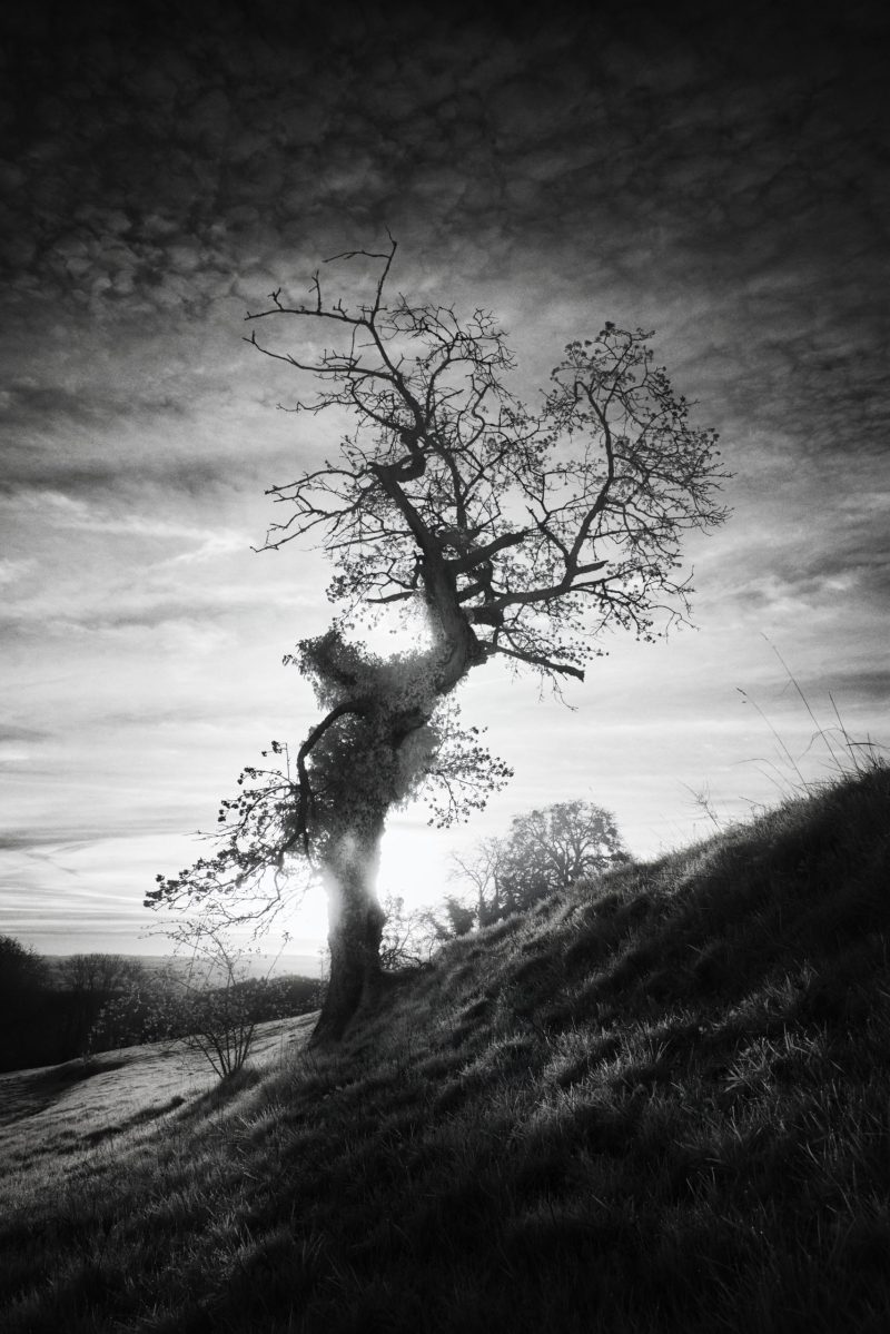 New Dawn - Jonas Hangartner Swiss Photographer